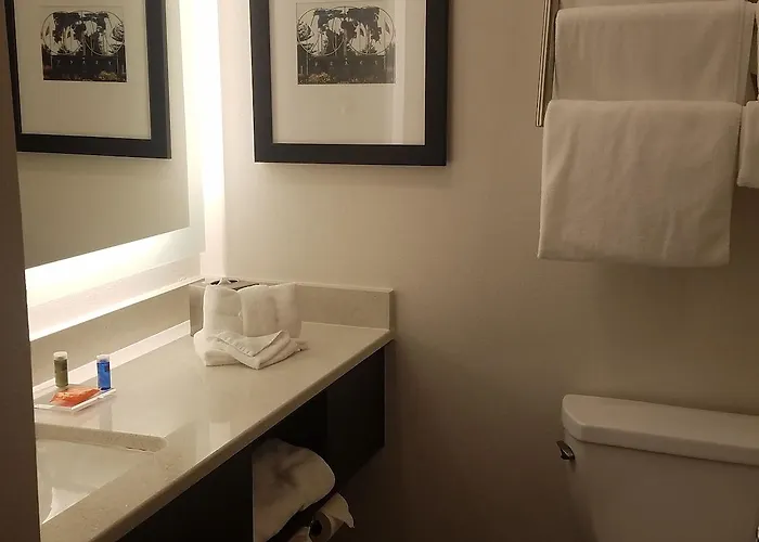 Hotel Radisson & Conference Center 4*