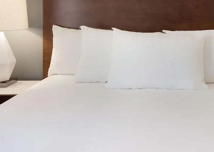 Radisson & Conference Center Hotel 4*